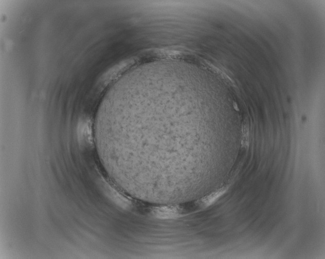 X0000084050238200703022223