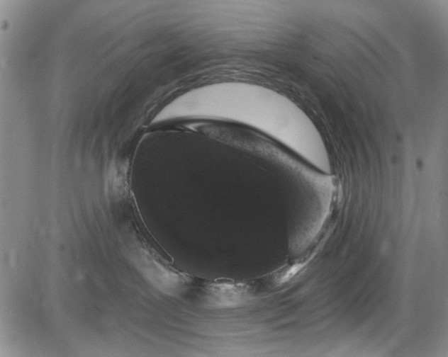 X0000084050239200703022223