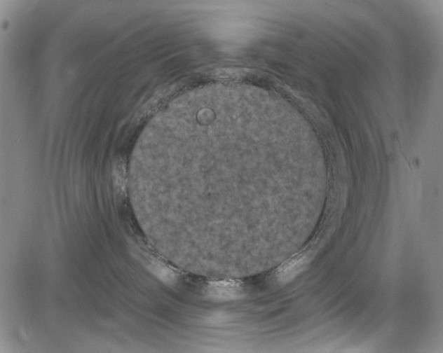 X0000084050240200703022223