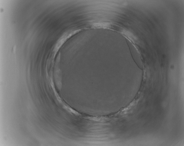 X0000084050241200703022222