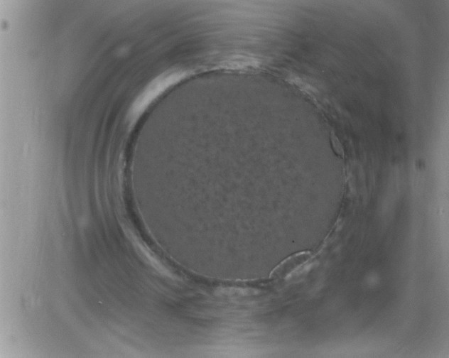 X0000084050242200703022222