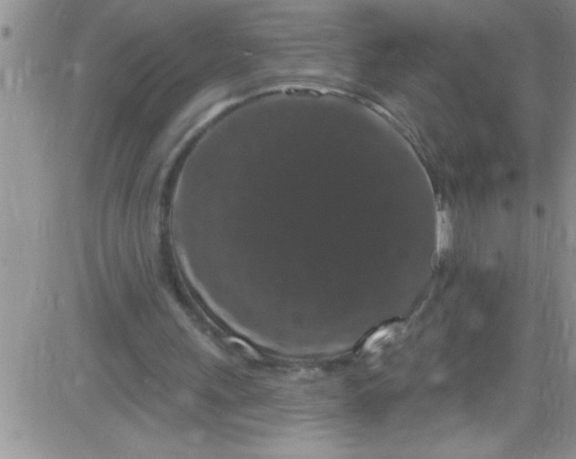 X0000084050243200703022222