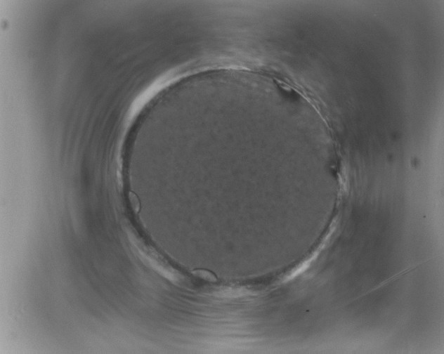 X0000084050246200703022222