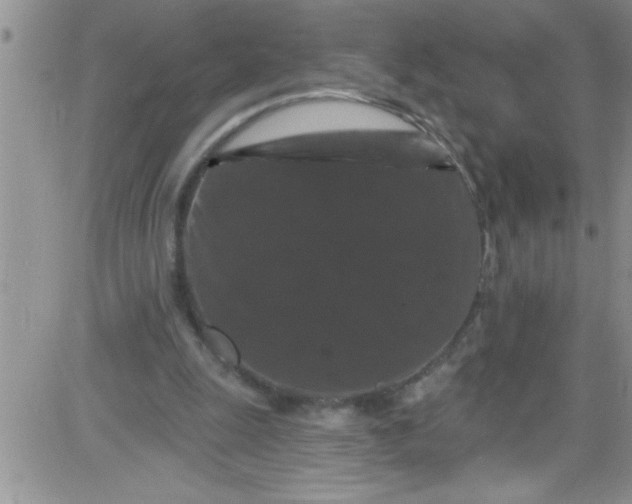 X0000084050247200703022222