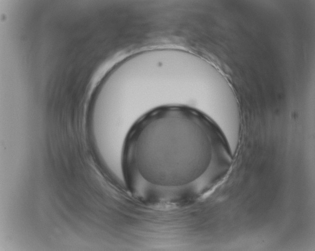 X0000084050248200703022222