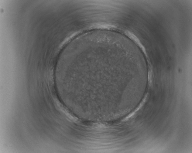 X0000084050249200703022222