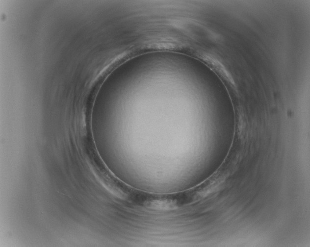 X0000084050251200703022222