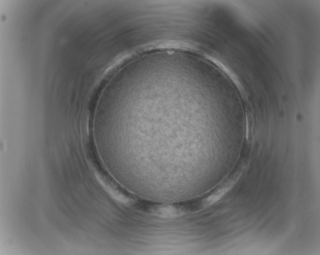 X0000084050253200703022222