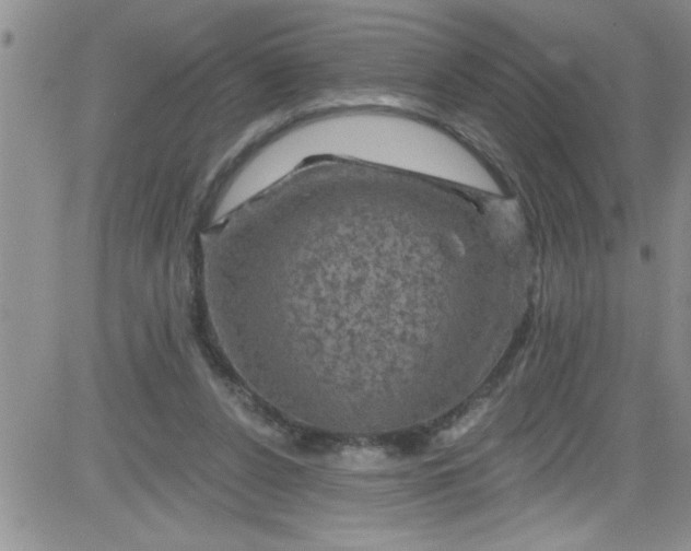 X0000084050256200703022222