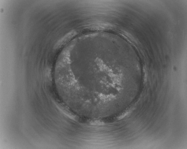 X0000084050258200703022222