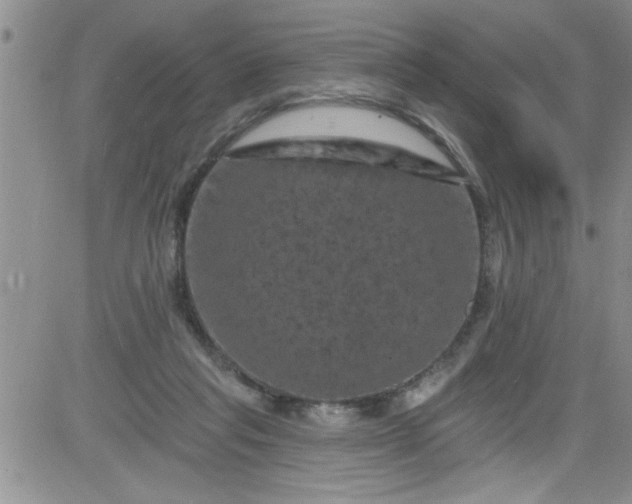 X0000084050261200703022222