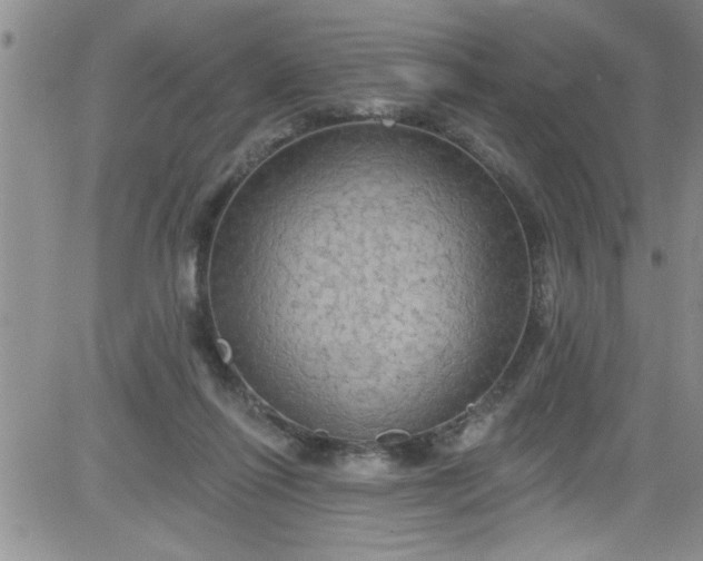 X0000084050262200703022222