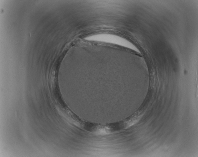 X0000084050263200703022222