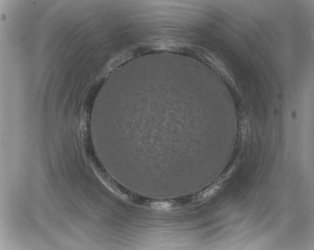 X0000084050265200703022222