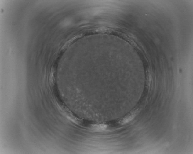 X0000084050266200703022222