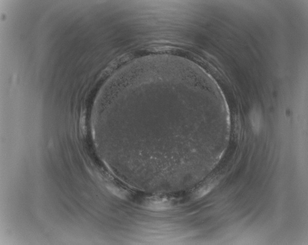 X0000084050267200703022222