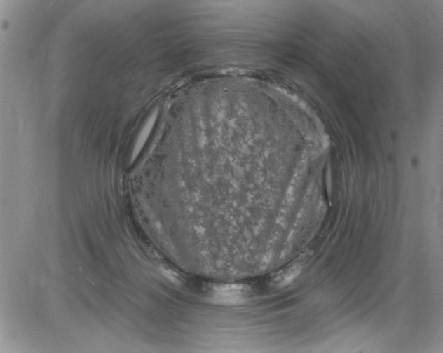 X0000084050268200703022222