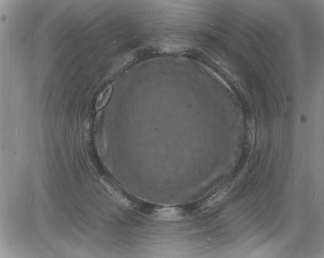 X0000084050269200703022222