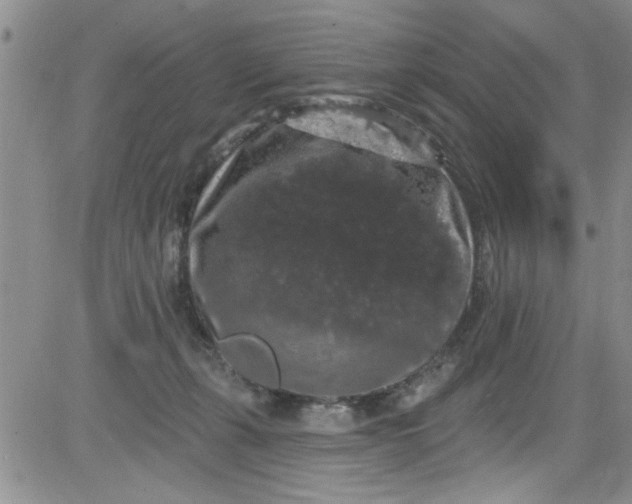 X0000084050271200703022222