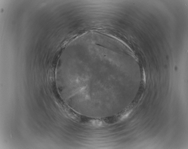 X0000084050272200703022222