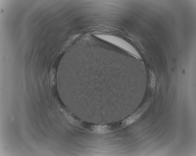 X0000084050273200703022222