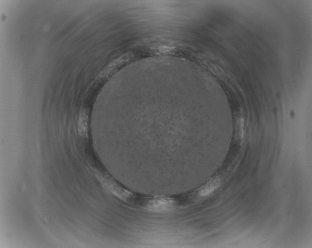 X0000084050274200703022222