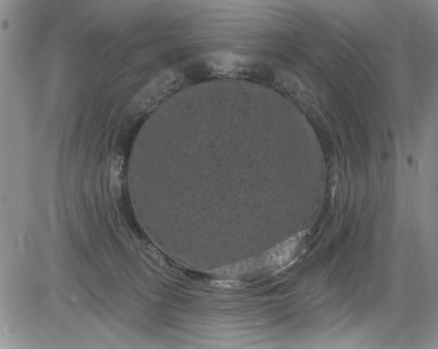 X0000084050275200703022222