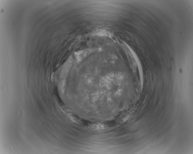 X0000084050276200703022222