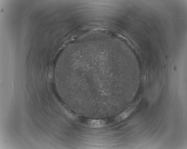 X0000084050277200703022222