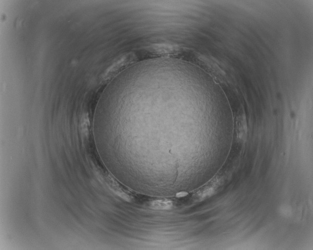 X0000084050279200703022222