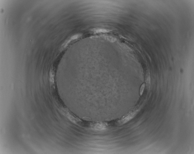 X0000084050282200703022222