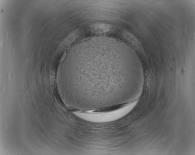 X0000084050283200703022222