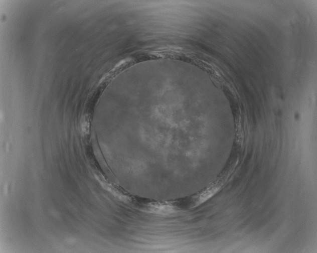 X0000084050284200703022222