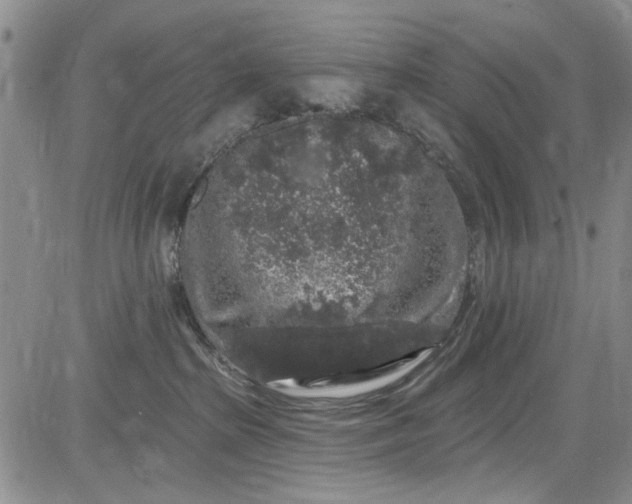 X0000084050285200703022222