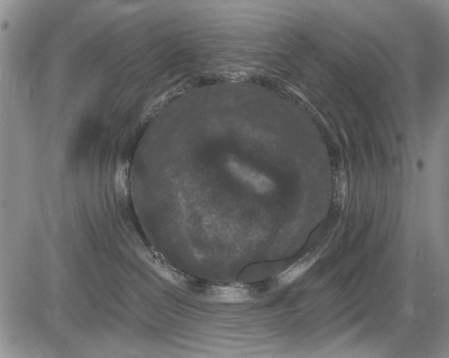 X0000084050286200703022223