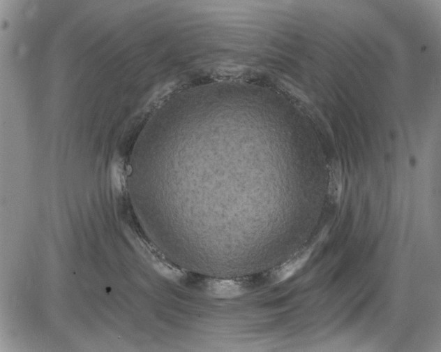 X0000084050287200703022223