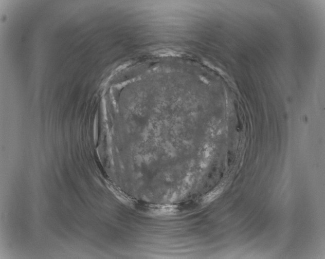 X0000084050288200703022223