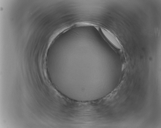 X0000084050289200703022222