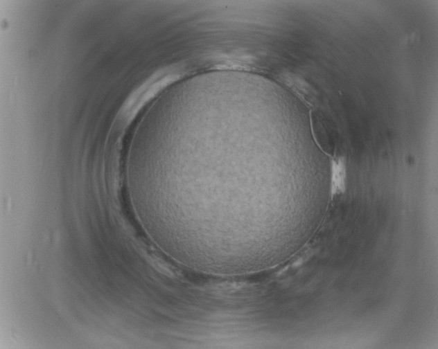 X0000084050291200703022222