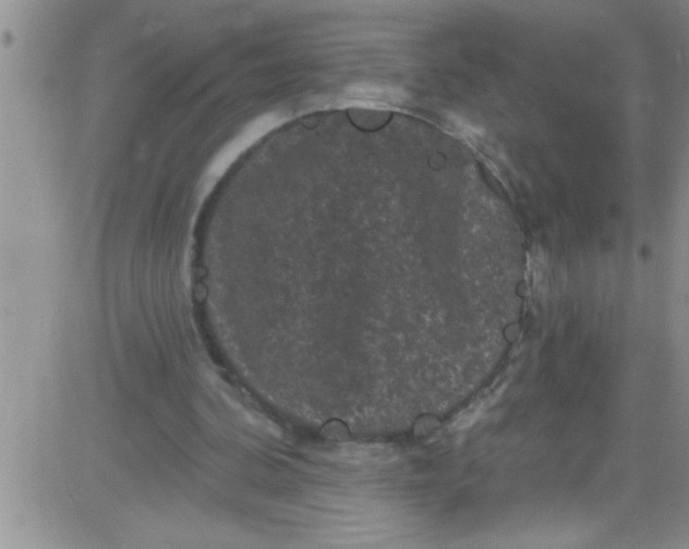 X0000084050292200703022222