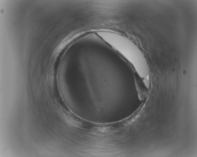 X0000084050295200703022222