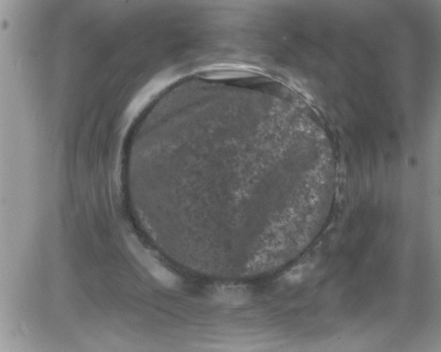 X0000084050296200703022222