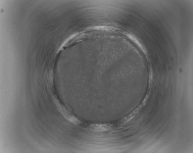 X0000084050297200703022222