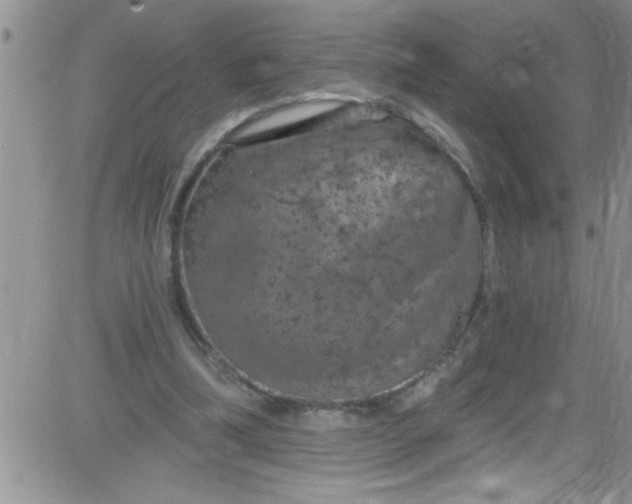 X0000084050298200703022222