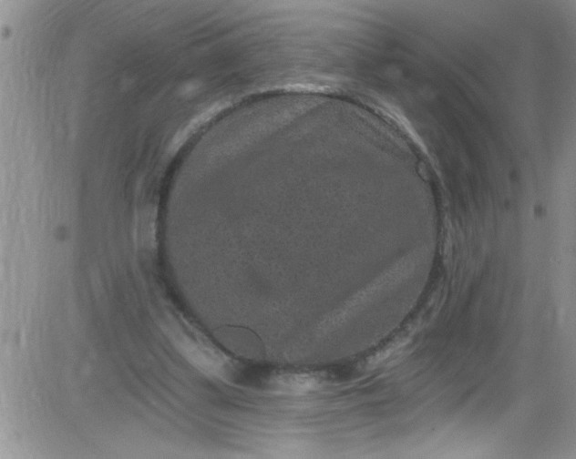 X0000084050299200703022222