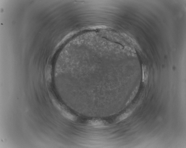 X0000084050300200703022222