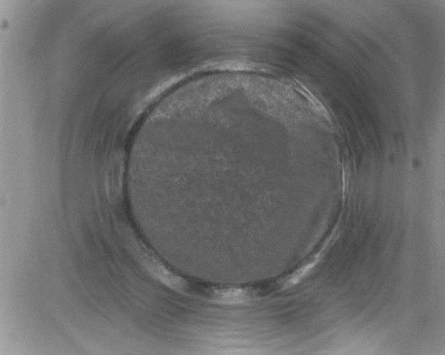 X0000084050301200703022222