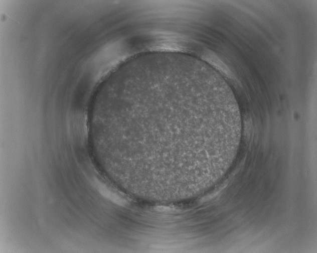 X0000084050302200703022222