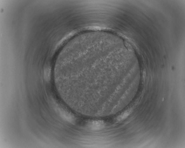 X0000084050304200703022221