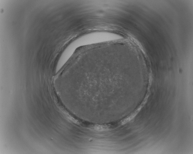 X0000084050305200703022221